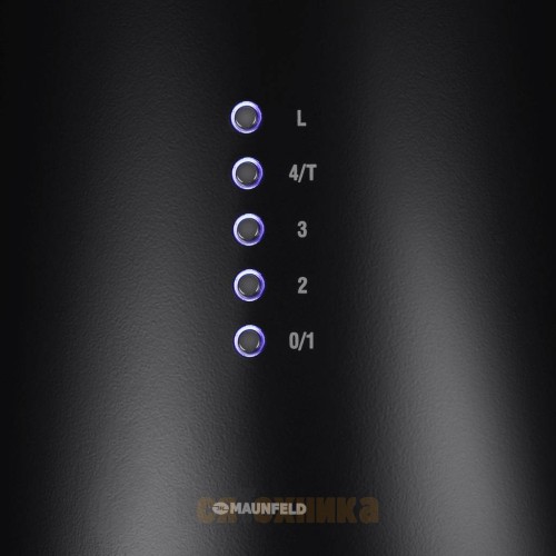 Кухонная вытяжка MAUNFELD Lee Wall 39 черный