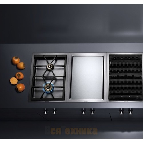Варочная панель Gaggenau VG 424-210