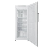 Морозильник Schaub Lorenz SLF S225W