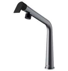 Смеситель с поворотным изливом Icon, Хром