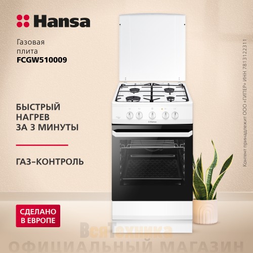 Газовая плита Hansa FCGW510009