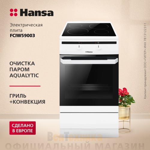 Индукционная плита Hansa FCIW59003