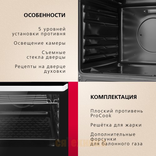 Газовая плита Hansa FCGW510009