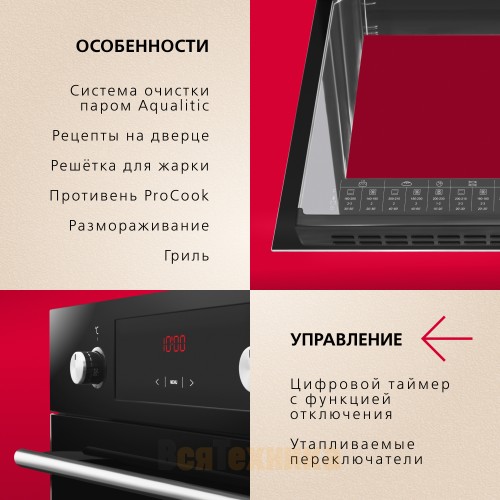 Электрический духовой шкаф Hansa BOES68441