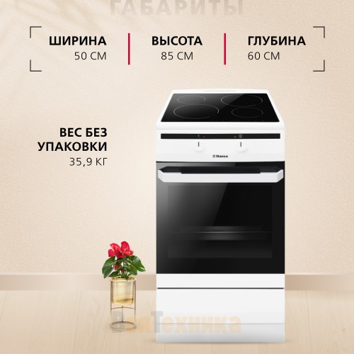 Индукционная плита Hansa FCIW59003