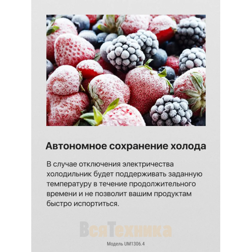 Встраиваемый холодильник Hansa UM1306.4 Белый