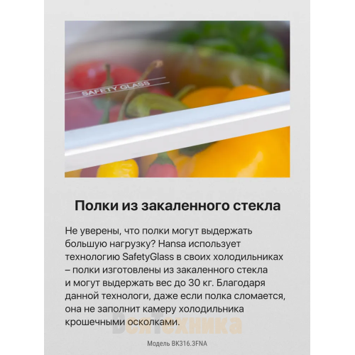 Встраиваемый холодильник Hansa BK316.3FNA