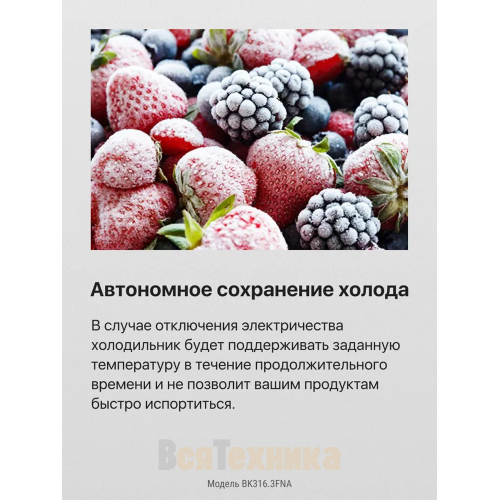 Встраиваемый холодильник Hansa BK316.3FNA