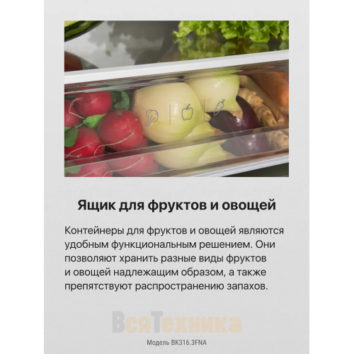Встраиваемый холодильник Hansa BK316.3FNA