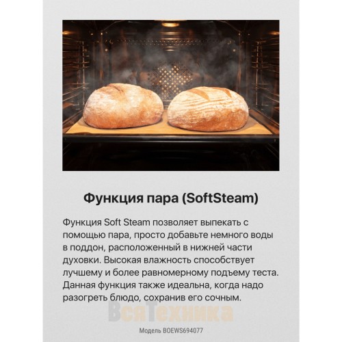 Духовой шкаф Hansa BakingPro BOEWS694077