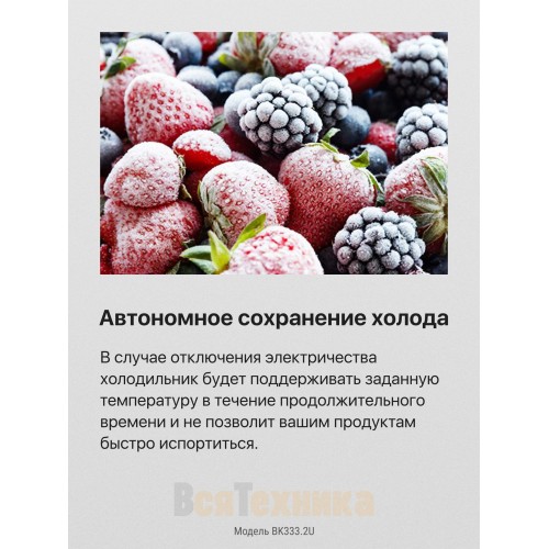 Встраиваемый холодильник Hansa BK333.2U