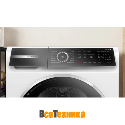 Сушильная машина Bosch WQB245CBSN