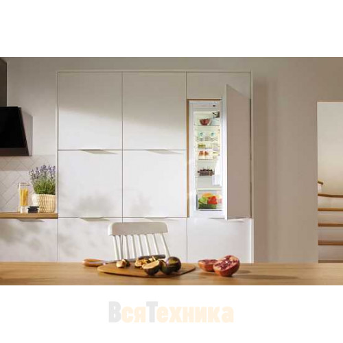 Встраиваемый двухкамерный холодильник Gorenje NRKI 2181 E1