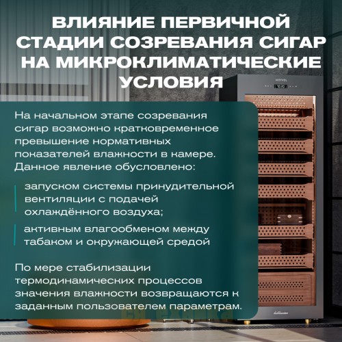 Хьюмидор шкаф Meyvel MC-272BK (PRO)