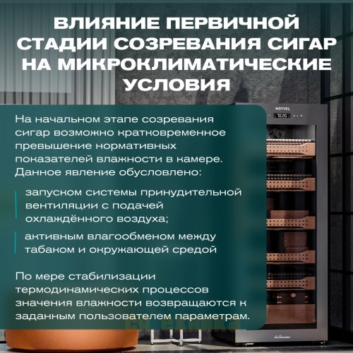 Хьюмидор шкаф Meyvel MC-200BK (PRO)