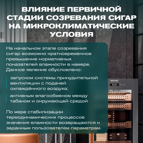 Хьюмидор шкаф Meyvel MC-120BK (PRO)