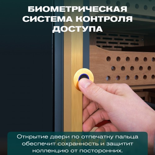 Хьюмидор шкаф Meyvel MC-376BK (PRO)