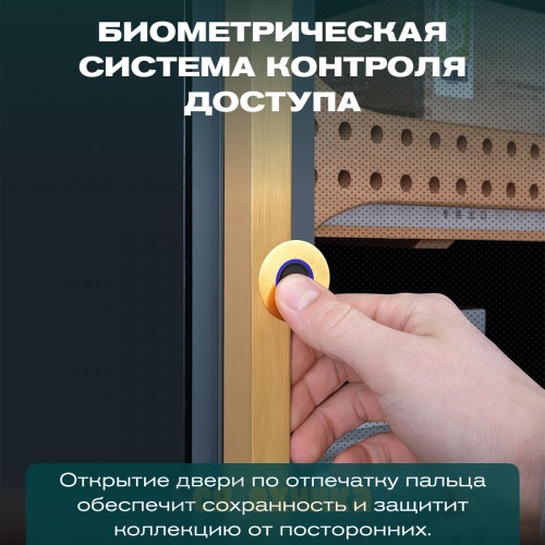 Хьюмидор шкаф Meyvel MC-120BK (PRO)