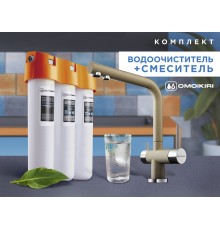 Комплект Omoikiri Nagano (шампань) + Pure drop Lite 4081.8028