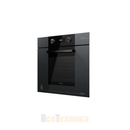 Духовой шкаф с функцией пара Teka Van Gogh HLB 84 VG