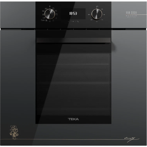 Духовой шкаф с функцией пара Teka Van Gogh HLB 84 VG