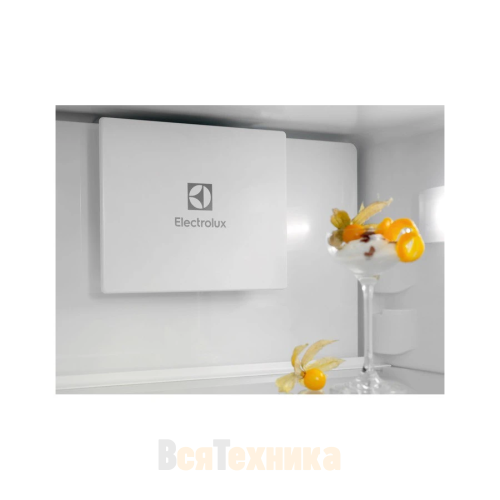 Встраиваемый холодильник Electrolux ENT6ME18S